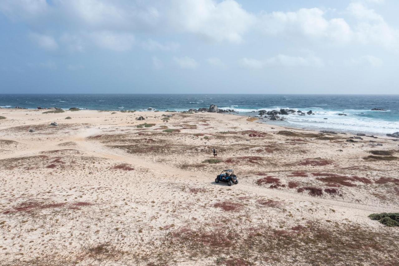 Hotel Marriott'S Aruba Ocean Club Palm Beach Zewnętrze zdjęcie