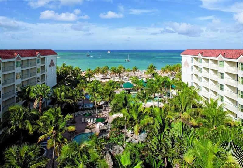 Hotel Marriott'S Aruba Ocean Club Palm Beach Zewnętrze zdjęcie
