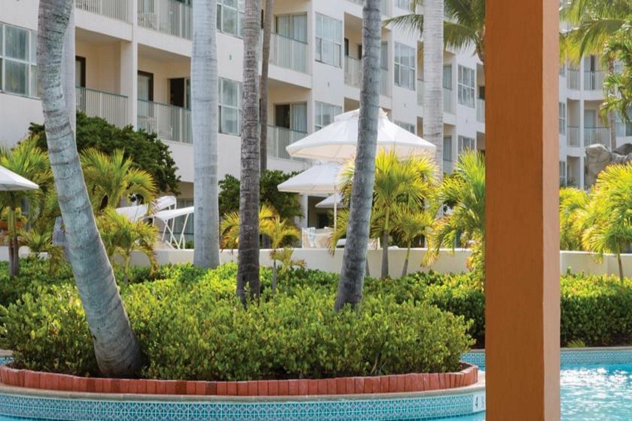 Hotel Marriott'S Aruba Ocean Club Palm Beach Zewnętrze zdjęcie